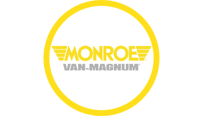 2x Monroe Stoßdämpfer Federbein Van-Magnum Hinterachse V2037